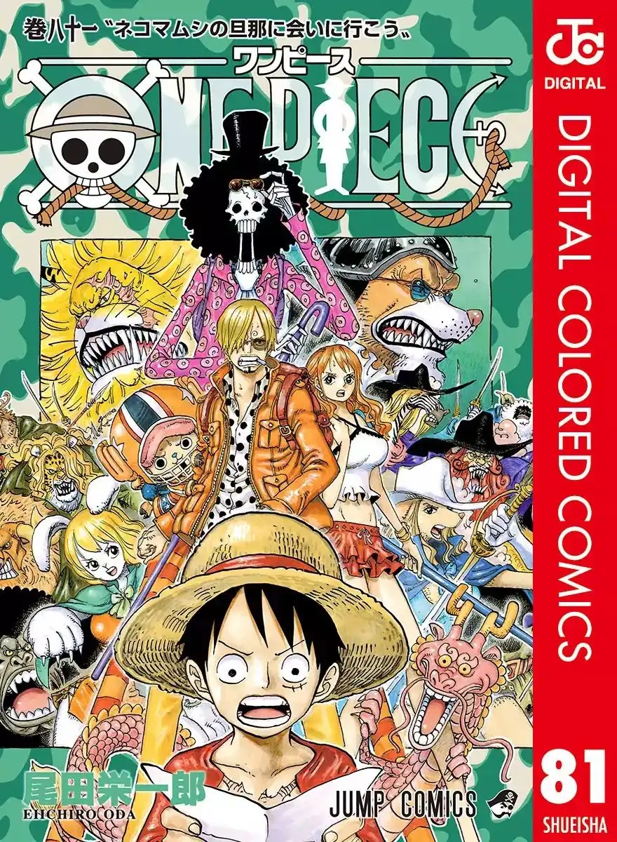 One Piece - Digital Colored Comics Chapter 807 1